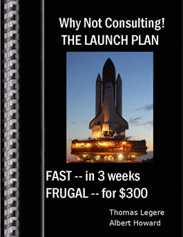 Why Not Consulting! - The Launch Plan