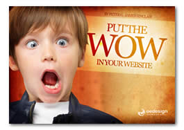 Put The Wow In Your Website
