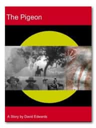 The Pigeon
