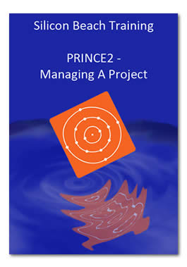 PRINCE2 Ebook Managing a Project