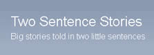 Two Sentence Stories