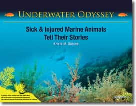 Underwater Odyssey - Sick & Injured Marine Animals Tell Their Stories by Krista M. Dunlop