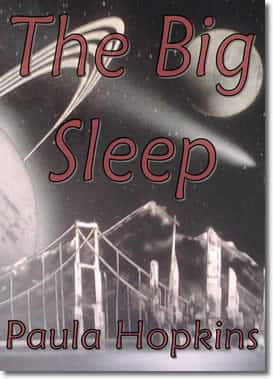 The Big Sleep by Paula Hopkins