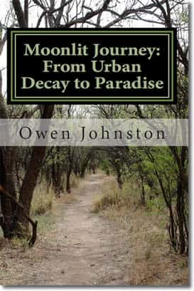 Moonlit Journey A Poetic Quest from Urban Decay to Paradise by Owen Johnston