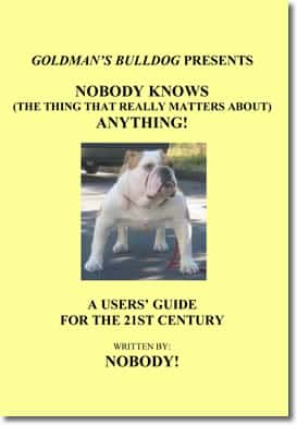 Nobody Knows (The Thing That Really Matters About) Anything! by Raoul Mazzoni / Nobody! (pen name / character)