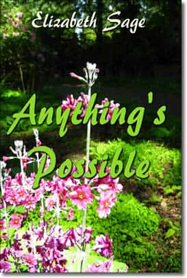 Anthing's Possible by Jocelyn Shipley / Elizabeth Sage