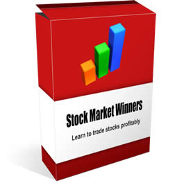 Stock Market Winners by Tim Huang