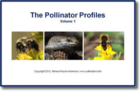 The Pollinator Profiles: Volume 1 by Athena Rayne Anderson