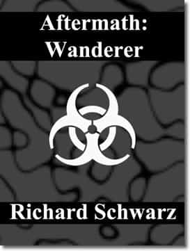 Aftermath: Wanderer by Richard Schwarz