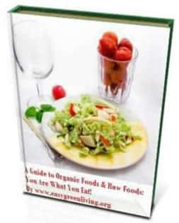 A Guide to Organic Foods & Raw Foods: You Are What You Eat by Easy Green Living