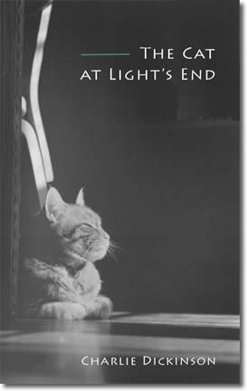 The Cat at Light's End by Charlie Dickinson