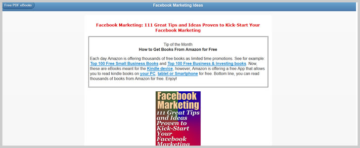 111 Great Tips and Ideas Proven to Kick - Start Your Facebook Marketing by Meir Liraz