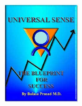 Universal Sense: The Blueprint For Success