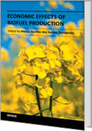 Economic Effects of Biofuel Production by Dr.-Ing. Marco Aurelio Dos Santos Bernardes