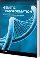 Genetic Transformation by Maria Alvarez