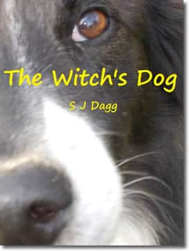 The Witch's Dog by Stephanie Dagg