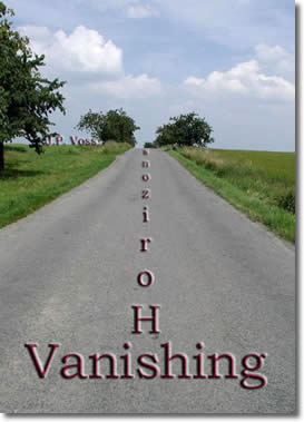 Vanishing Horizons by J.P. Voss