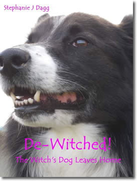De-Witched! by Stephanie Dagg