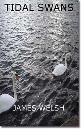 Tidal Swans