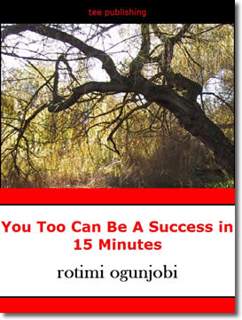 You Too Can Become A Success in 15 Minutes by Rotimi Ogunjobi