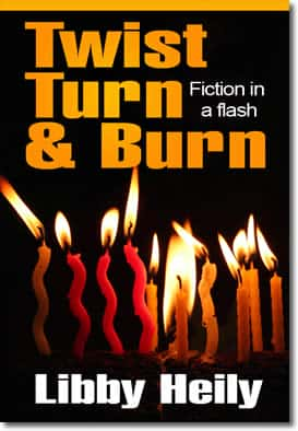 Twist Turn and Burn by Libby Heily