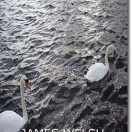 Tidal Swans