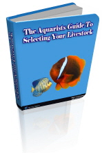 The Aquarists Guide To Selecting Your Livestock