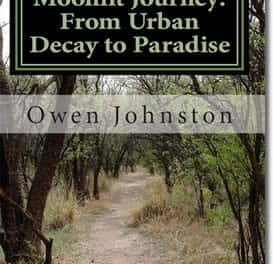 Moonlit Journey A Poetic Quest from Urban Decay to Paradise