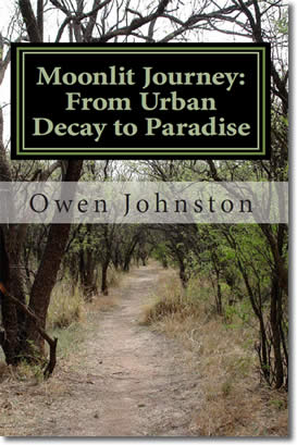 Moonlit Journey A Poetic Quest from Urban Decay to Paradise