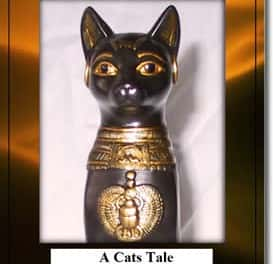 A Cats Tale