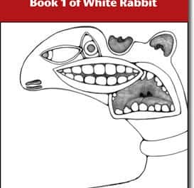 The One Who Is Two (Book 1 Of White Rabbit)
