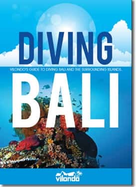 Diving Bali
