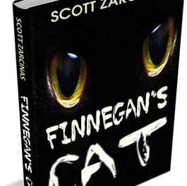 Finnegan’s Cat