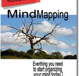 The Beginners Workshop To Mind Mapping