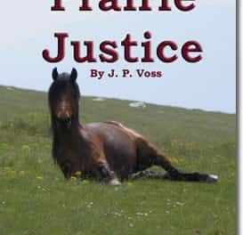 Prairie Justice