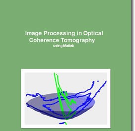 Image Processing in Optical Coherence Tomography