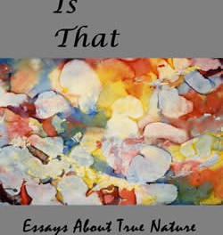 That Is That: Essays About True Nature