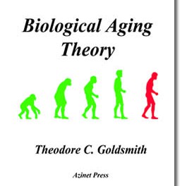 An Introduction to Biological Aging Theory