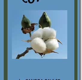 Cotton