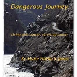 Dangerous Journey