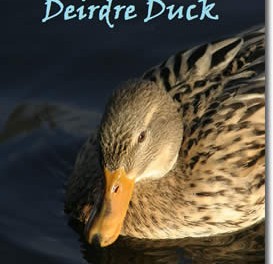 A Girl Called Deirdre Duck