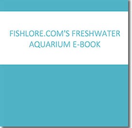 FishLore’s Freshwater Aquarium Book