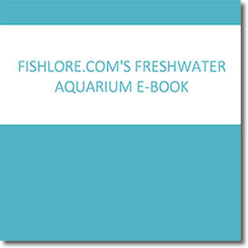 FishLore’s Freshwater Aquarium Book