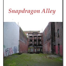 Snapdragon Alley