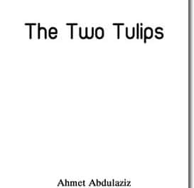 The Two Tulips