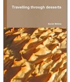 Travelling Through Desserts