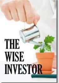 The Wise Investor