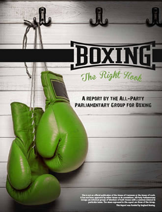 Click here to read / download Boxing: The Right Hook