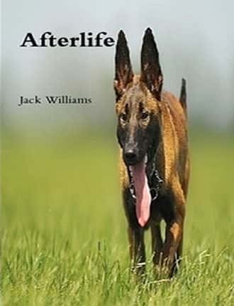 Click here to read / download - Afterlife