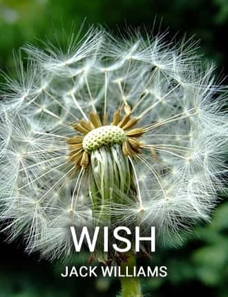 Click here to read / download - Wish